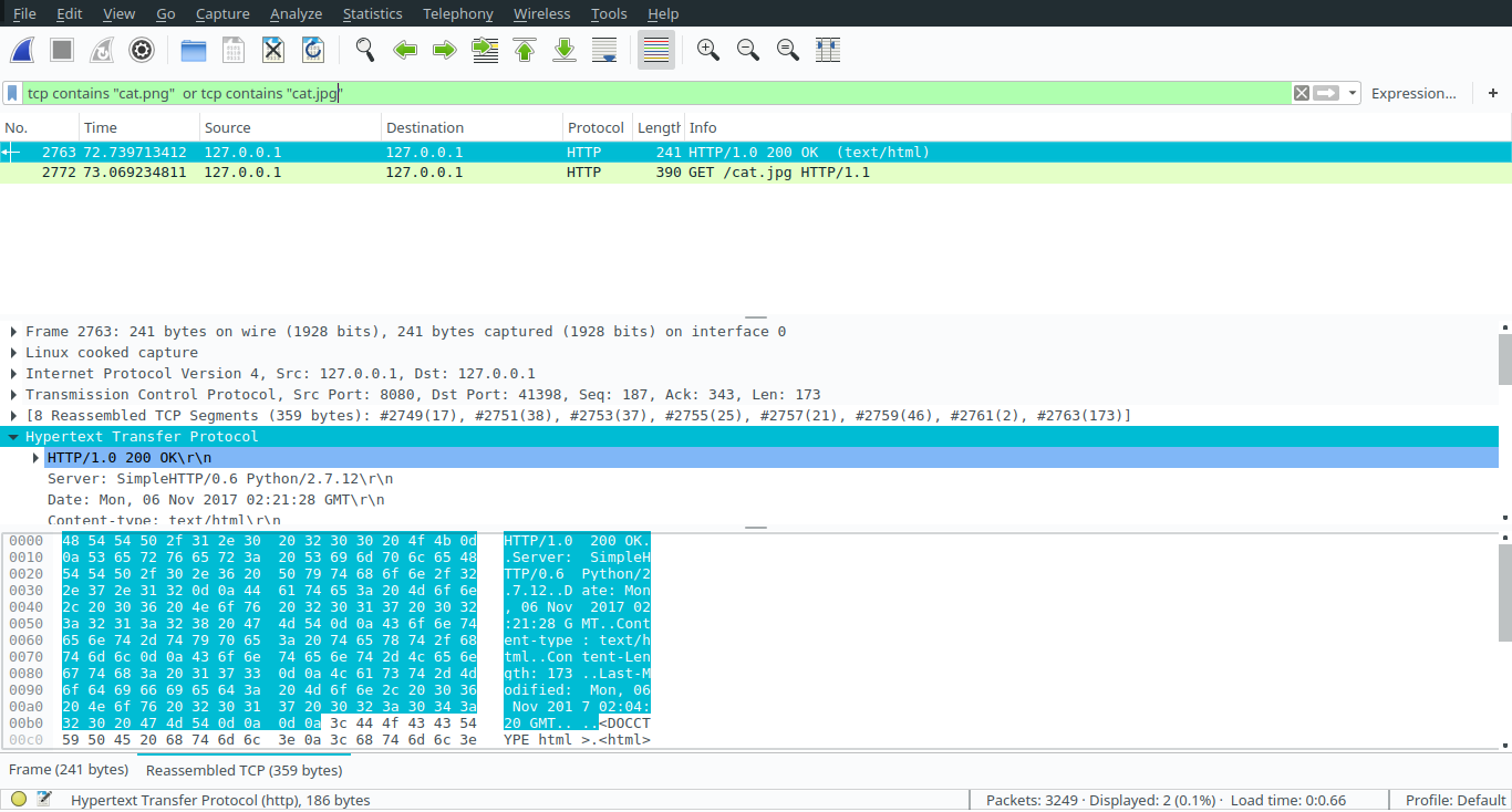 Wireshark Screenshot